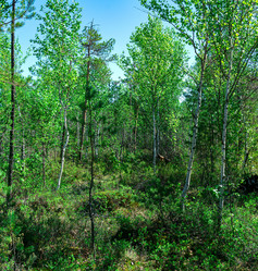 Similar image 21749004