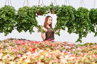 Similar image 21756685