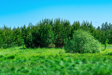 Similar image 21749006