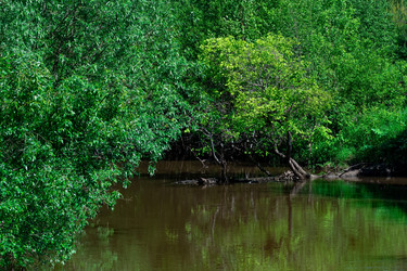 Similar image 21749011