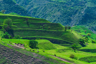 Similar image 21749019