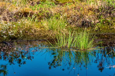 Similar image 21749025