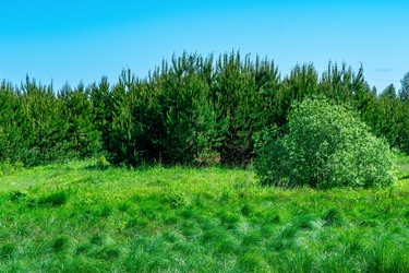 Similar image 21749026