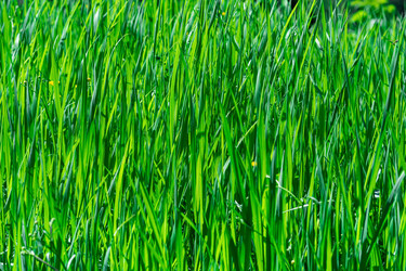 Similar image 21749936