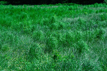 Similar image 21750120