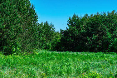 Similar image 21750121