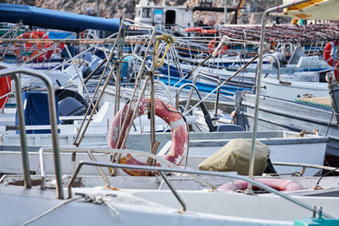 Similar image 21750364