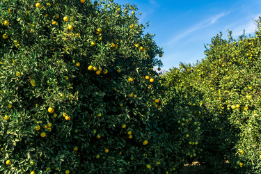 Similar image 21750575