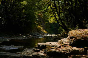 Similar image 21750577