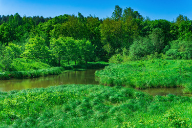 Similar image 21750959