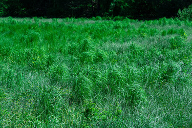 Similar image 21750962