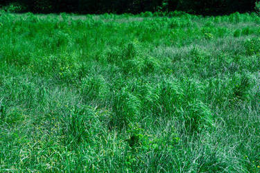 Similar image 21748598