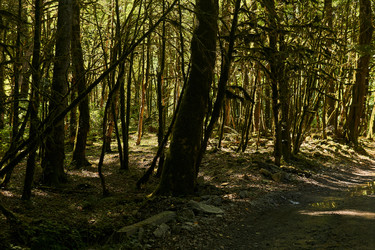 Similar image 21749029