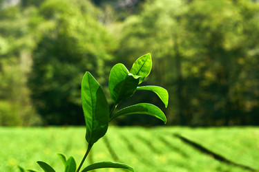 Similar image 21749037