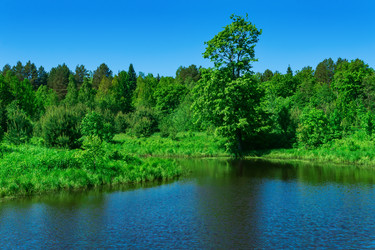 Similar image 21749038