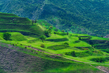 Similar image 21749638