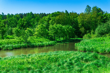 Similar image 21749650