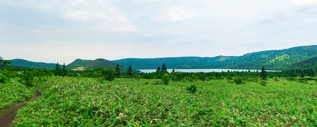 Similar image 21749940