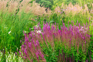 Similar image 21748178