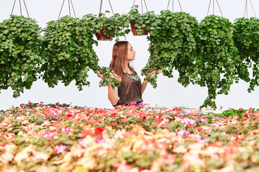 Similar image 21753629