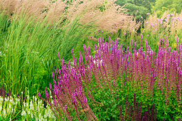 Similar image 21748182