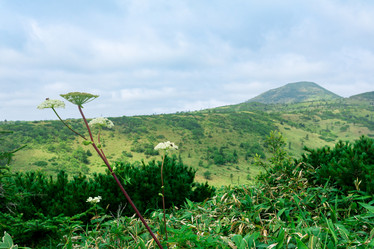 Similar image 21748185