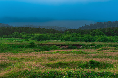 Similar image 21748603