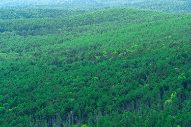 Similar image 21748615