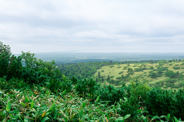 Similar image 21748619