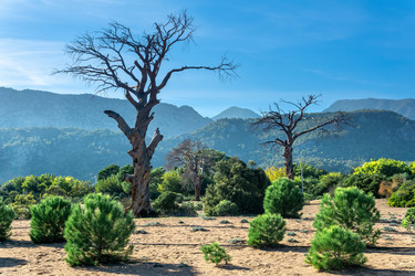 Similar image 21748622