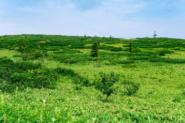 Similar image 21749048