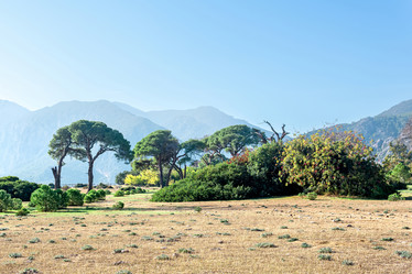 Similar image 21749050