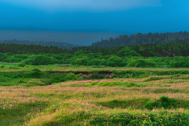 Similar image 21749059