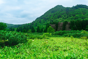 Similar image 21749063