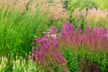 Similar image 21749073