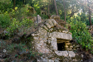 Similar image 21749655