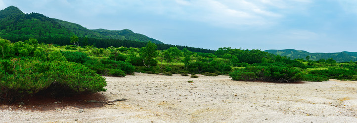 Similar image 21749659