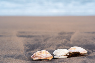 Similar image 21749660