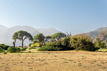 Similar image 21749662