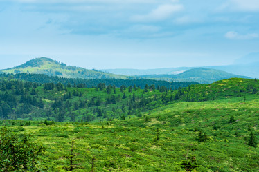 Similar image 21749959