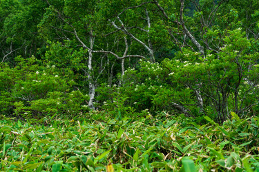 Similar image 21749961