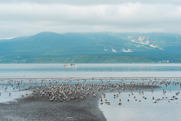 Similar image 21749967