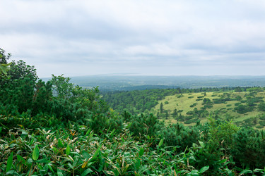 Similar image 21749970