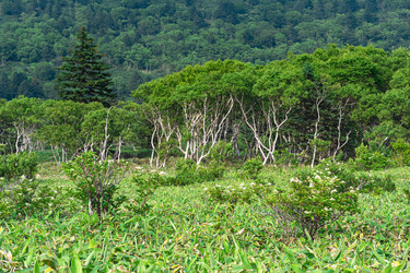 Similar image 21748627