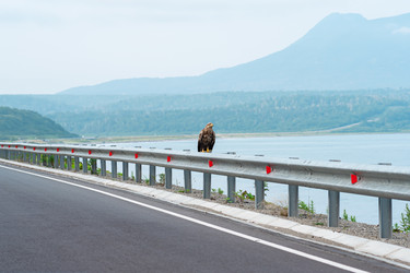 Similar image 21748628