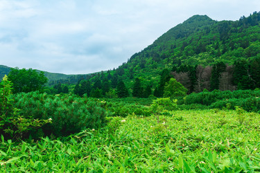 Similar image 21748629