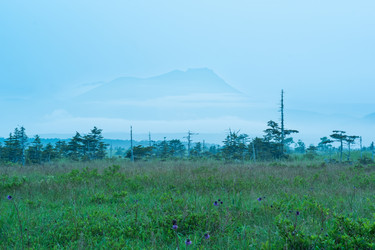 Similar image 21749081