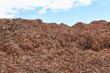 Similar image 21749085