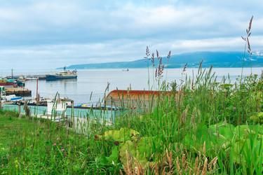 Similar image 21749087