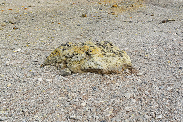 Similar image 21749090